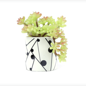 Flower Pot Ceramic