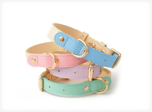 Genuine Leather Pet Dog Cat Collar Leash Dog Rope Dog Chain Dog Belt Pet Supplies