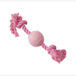 Pet Playing Boll