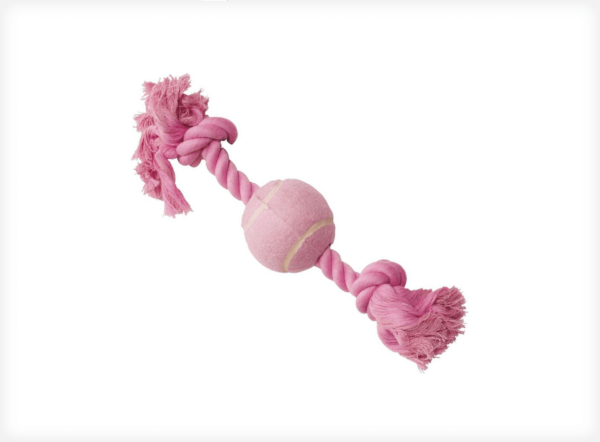 Pet Playing Boll