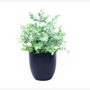 Planter Black with Green Leaves